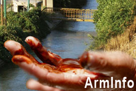 Экологи обеспокоены загрязнением рек Армении бытовыми отходами