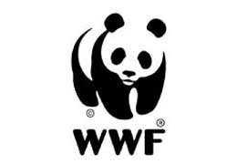 Bear cub saved by WWF-Armenia settles in Shikahogh reserve 
