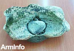 10,000-year-old bison bone found at bottom of Lake Sevan, Armenia